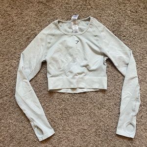 Flex Sports Long Sleeve Crop Top